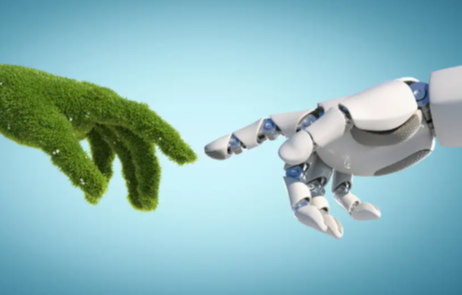 The Role of Machine Learning in Environmental Conservation